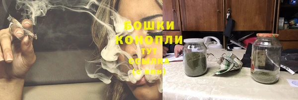 МДПВ Лагань