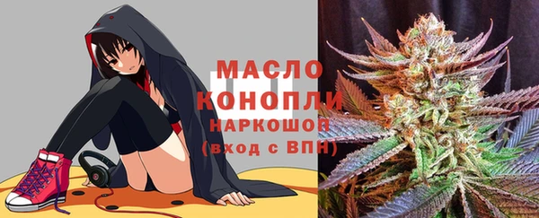 МДПВ Лагань